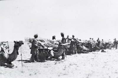 Soldiers with camels in Mesopotamia during World War One, from an album compiled by Lt. Kindom by English Photographer